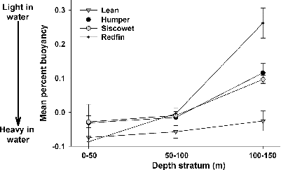 FIGURE 7. Size-standardized mean ± SE percent buoyancy for lean, humper, siscowet, and redfin Lake Trout morphs from Isle Royale, Lake Superior, plotted within shallow- (0–50 m), mid- (50–100 m), and deepwater depth (100–150 m) strata.