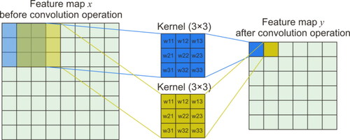 Figure 5. Schematic diagram of the convolution operation. The left panel shows the feature map before convolution operation, and the right panel shows the feature map after convolution operation.