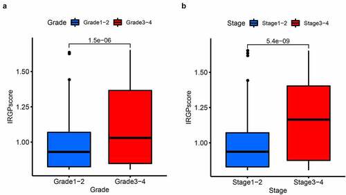 Figure 8. IRGP score in different clinicopathological factors