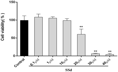 Figure 2 Cytotoxicity assays of SsD after 72 hours of incubation in HepaRG cells. Data expressed as means ± SD (n=3). **p<0.01 compared with control.