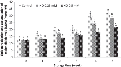 Figure 2. Effect of NO treatment on lipid peroxidation and accumulation of malon dialdehyde (MDA) of ‘rish baba’ grape fruit during cold storage. values in each column followed by a different letter are significant at p ≤ 0.05 according to duncan’s multiple range test.