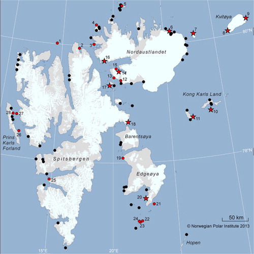 Fig. 1  Map showing all registered walrus haul-out sites in Svalbard. Sites marked in red were occupied during one or both of the aerial surveys flown in 2006 (from Lydersen et al. Citation2008) and 2012 (this study). Stars indicate sites where young calves were present during one of the surveys.