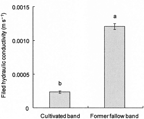 Figure 11. Field hydraulic conductivity in the former fallow band and in the cultivated band. Error bars indicate standard error. Mean values with different letters are significantly different at the P < 0.05 significance level.