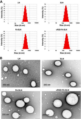 Figure 4 Particle size and morphology detection. (A) Particle size distribution and (B) transmission electron micrographs of LN, SLN, FA-SLN, and cRGD-FA-SLN. The bar is 100 nm.