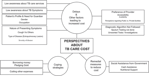 Figure 1. Patient perspectives on TB care cost.