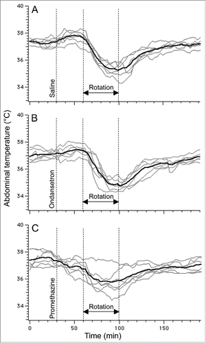 Figure 6. Ondansetron (2 mg/kg i.p.) has no effect on hypothermic responses induced by provocative motion whereas promethazine (10 mg/kg i.p.) tended to reduce them. Using rotational design, one group of rats (N = 6) was subjected to provocative motion preceded by saline (A), ondansetron (B) or promethazine (C). Gray traces - individual recordings; black traces - averaged data.