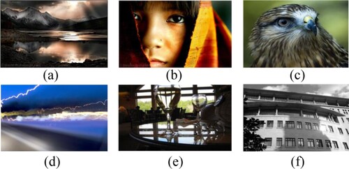 Figure 7. Randomly selected sample images in the AVA dataset and their aesthetic mean scores and semantic categories.