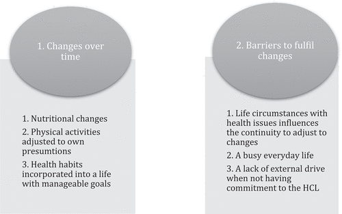 Figure 1. Main themes and subthemes from the informants’ stories.