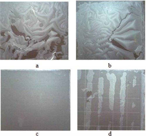 Figure 3. Films produced from waste flour (75% w/v), with plasticizers at 30% w/w plasticizers/waste flour, using glycerol:sorbitol at (a) 1:1, (b) 2:1, (c) 3:1, and (d) 4:1 w/w ratio.Figura 3. Películas producidas de harina de desperdicio (75% p/v), con plastificantes a 30% p/p plastificantes/harina de desperdicio, usando ratios de glicerol: sorbitol de (a) 1:1, (b) 2:1, (c) 3:1 y (d) 4:1 p/p.