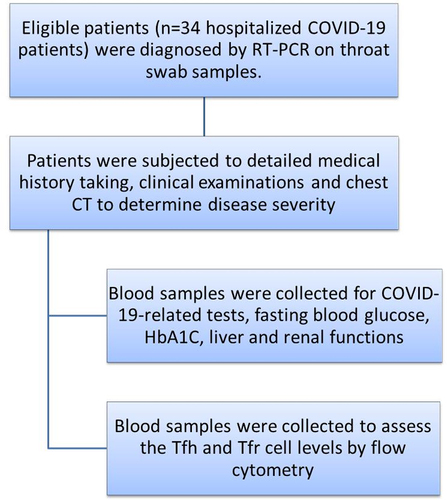 Figure 1. A schematic flow chart of the study protocol.