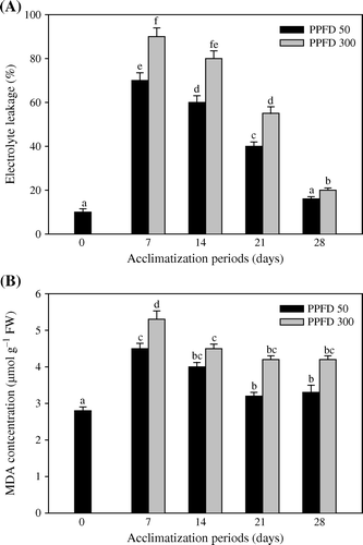 Figure 2.  Changes in the level of Electrolyte leakage (A) and MDA concentration (B) in micropropagated plantlets of T. indica acclimatized at PPFD 50 and 300 µmol m−2 s−1 for 28 days. Bars represent the mean±SE (n=5). Bars denoted by the same letter are not significantly different (p =0.05) using Tukey's tests.