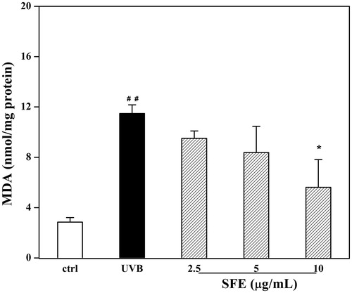 Figure 7. Effect of SFE on MDA level in UVB-irradiated HDF cells. HDF cells were pretreated with different concentrations (0, 2.5, 5 and 10 μg/mL) of SFE and irradiated with UVB (3000 mJ/cm2) every 12 h for three times. Control group without UVB irradiation was conducted in parallel. Cell homogenates were detected for MDA. Data are the mean ± SD (n = 3). ##p < 0.01 compared with control cells, *p < 0.05 compared with cells only treated by UVB.