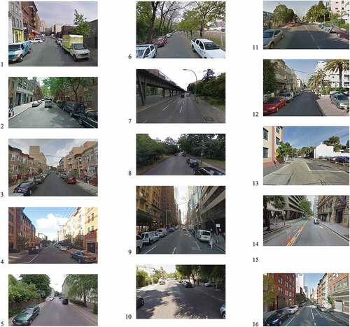 Figure A1. Images of the streets presented to the respondents.