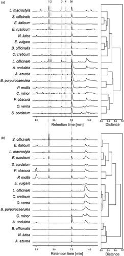 Figure 1. Common pattern of electrophoretic HPEC profiles (left side of the figure) and hierarchical clustering dendrograms of the phytochemical profiles (right side of the figure) of the shoots (a) and the roots (b) of 17 Boraginaceae species studied (n = 3). 1 – allantoin, 2 – rutin, 3 – chlorogenic acid, 4 – p-hydroxybenzoic acid, 5 – hydrocaffeic acid, 6 – rosmarinic acid.