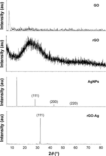 Figure 2 XRD patterns of GO, rGO, AgNPs, and rGO-Ag nanocomposites.Notes: In the XRD pattern of GO, a strong sharp peak at 2θ=11.2° corresponds to an interlayer distance of 7.6 Å. rGO has a broad peak centered at 2θ=25.9°, corresponding to an interlayer distance of 3.6 Å. AgNPs show three different strong Bragg reflection peaks at 30.8°, 45.4°, and 64.5° corresponding to the planes of (111), (200), and (220), respectively. The rGO-Ag nanocomposites show two different reflection peaks in the diffractogram at 33.12° corresponding to the (111) planes of fcc Ag. At least three independent experiments were performed for each sample, and reproducible results were obtained. The data present the results of a representative experiment.Abbreviations: XRD, X-ray diffraction; GO, graphene oxide; rGO, reduced graphene oxide; rGO-Ag, reduced graphene oxide-silver; AgNPs, silver nanoparticles.