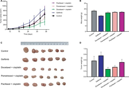 Figure 3 Drug sensitivity assay of PDX model with the corresponding adenocarcinoma patient.Notes: (A) Growth curves of transplanted tumor in five groups of mice. (B) Body weight comparison in five groups of mice. (C) Tumor weight comparison in five groups of mice. (D) Columnar diagram of tumor weight in five groups of mice.Abbreviation: PDX, patient-derived tumor xenografts.