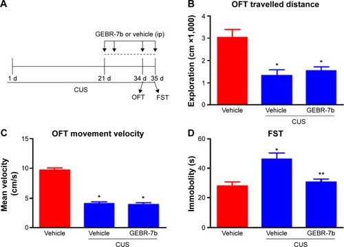 Figure 1 Effect of chronic GEBR-7b treatment on CUS-induced depression-like behaviors in rats.