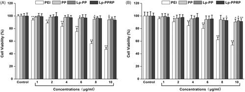 Figure 4. Cytotoxicity tests of PEI, PP, LP-PP and LP-PPRP. (A) Cytotoxicity tests of PEI, PP, LP-PP, and LP-PPRP on HeLa cells. (B) Cytotoxicity tests of PEI, PP, LP-PP, and LP-PPRP on A549 cells. Each bar is the mean of six experiments normalized to mean ± SD. *p < .05 vs. control and **p < .01 vs. control.