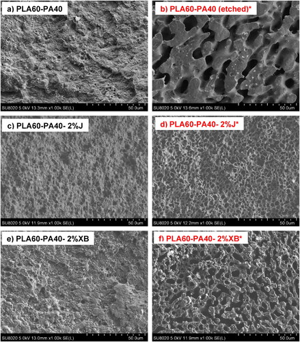 Figure 12. SEM images of PLA(NA)/PA12 60/40 wt.% with and without compatibilizers: (a, c, e) “non-etched” samples and (b, d, f) “etched” samples* in chloroform.