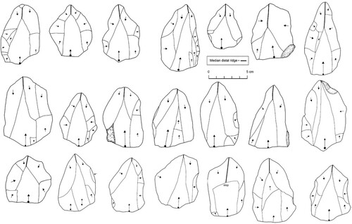 Figure 3. The debitage surfaces of selected Nubian Levallois cores from TH-69. The arrows with circles represent Levallois removals.