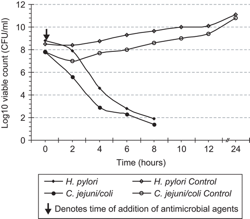 Figure 4.  Time-kill curves of E. chlorantha extract on H. pylori CCUG 39500 (16 × MBC) and C. jejuni/coli CPC-022004 (16 × MBC) in batch cultures at pH 7.3 and temperature 37°C.