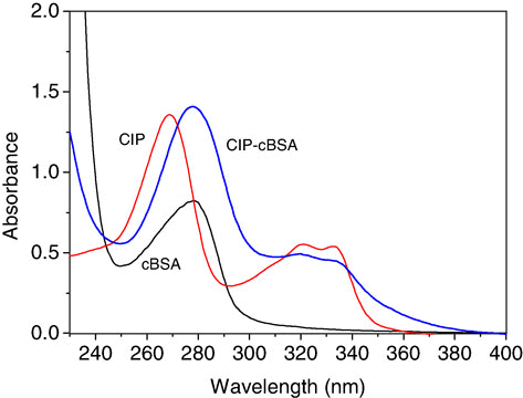 Figure 2. Ultraviolet absorbance spectra for CIP, cBSA and CIP–cBSA.