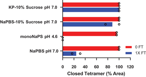 Figure 4. Acidic pH is necessary but not sufficient to trigger conformational change and closed tetramer is stabilized in KP-10% sucrose. Four rNA formulations in different buffers were analyzed (vertical axis). The % closed tetramer by SEC was monitored at ambient temperature, before (red bars) and after (blue bars) a single F/T cycle. Closed tetramer loss occurred following F/T in NaPBS pH 7.0 and monoNaPS pH 4.6. Tetramer was conserved in formulations with 10% sucrose.