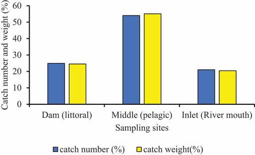 Figure 2. Percentage fish catch composition by number and weight for each sampling site in Ribb Reservoir.