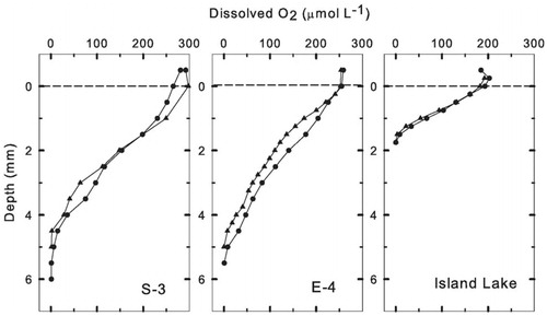 FIGURE 2. Depth distribution of dissolved O2 in surficial sediments of duplicate cores from each study lake. Each profile represents the mean of three series of measurements. The dashed line marks the sediment-water boundary.