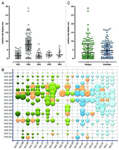 Figure 6. Relative display rates of different VH/VL Fab pairs determined by ELISA. (A) VH, (B) VH/VL and (C) VL (Vκ: green, Vλ: blue) relative display rates are shown compared with an internal reference phage preparation. In (A) and (C) the median with interquartile range is shown, in the bubble diagramm (B) the bubble area correlates with relative Fab display. Orange bubbles and circles show the final selected 36 VH/VL pairs that are included in Ylanthia. The circles indicate VH/VL pairs that were not determined.