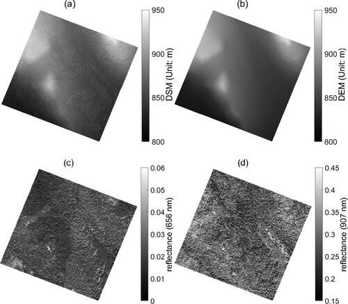 Figure 3. Estimated KEA DSM from LiCHy-LiDAR measurement (a); estimated KEA DEM from DSM (b); reflectance image of the red band (656 nm) of the KEA obtained by the LiCHy-AISA Eagle II hyperspectral sensor (c); reflectance image of the NIR band (907 nm) of the KEA obtained by the LiCHy-AISA Eagle II hyperspectral sensor (d).