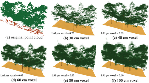 Figure 4. Graphical depiction of realistic 3D mountain forest scene reconstruction based on different voxel sizes and the original point cloud. The plot size is 30 m × 30 m, which is a part of the study area. The colors do not represent actual optical properties.