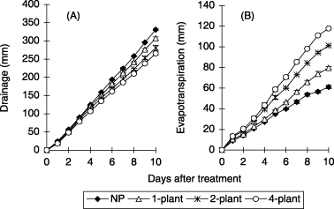 Figure 6  Effect of planting density on (A) cumulative drainage volume and (B) cumulative evapotranspiration in the soil column experiment. NP, no plant; 1-plant, one plant per soil column; 2-plant, two plants per soil column; 4-plant, four plants per soil column. Error bars represent standard deviation.