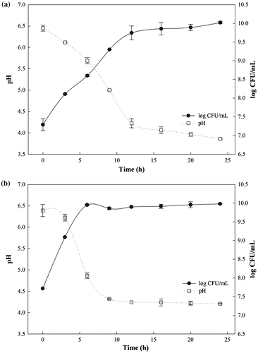 Figure 1. Growth profile and pH changes of lactic acid bacterial culture during fermentation of (a) Lactobacillus brevis WK12 or (b) Leuconostoc mesenteroides WK32.