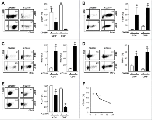 Figure 2. CD28H+ naïve T cells show increased naïve characteristics. (A) Expression of CD31 on naïve T cells. Representative plots and the mean percentages + SEM showing CD31 expression on CD28H+ and CD28H− naïve T cells. (B) Expression of T-bet on naïve T cells. Representative plots and the mean percentages + SEM showing T-bet expression on CD28H+ and CD28H− naïve T cells. (C) Expression of IFNγ on naïve T cells. Representative plots and the mean percentages + SEM showing IFNγ expression on CD28H+ and CD28H− naïve T cells. (D) Expression of TNFα on naïve T cells. Representative plots and the mean percentages + SEM showing TNFα expression on CD28H+ and CD28H− naïve T cells. (E) Expression of CD28 on naïve T cells. Representative plots and the mean percentages + SEM showing CD28 expression on CD28H+ and CD28H− naïve T cells. 6–8 donors, *, P < 0.05. (F) Kinetic CD28H expression in in vitro cultured enriched naïve T cells. Enriched peripheral blood CD4+ naïve T cells were stimulated with anti-CD3 and anti-CD28 every 3 d for up to 20 d as described. CD28H surface expression was measured by FACS. 3 donors with repeats.