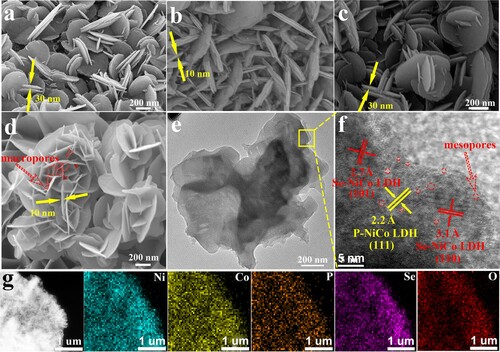 Figure 3. (a–d) SEM images of the NiCo LDH, P-NiCo LDH, Se-NiCo LDH and P, Se-NiCo LDH. (e) TEM observation of P, Se-NiCo LDH sample. (f) HRTEM images of P, Se-NiCo LDH sample. (g) EDS elemental mapping of P, Se-NiCo LDH composite.