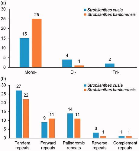 Figure 2. Comparison of the Repeats in the chloroplast genome of two Strobilanthes species. (a) Types and number of SSRs detected in the chloroplast genome sequences. (b) The number of tandem repeats and interspersed repeats.
