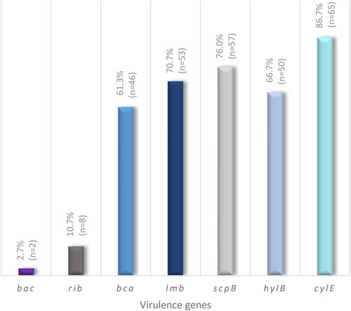 Figure 4. Percentage of virulence genes detected in GBS isolated from non-pregnant adults (n = 75).