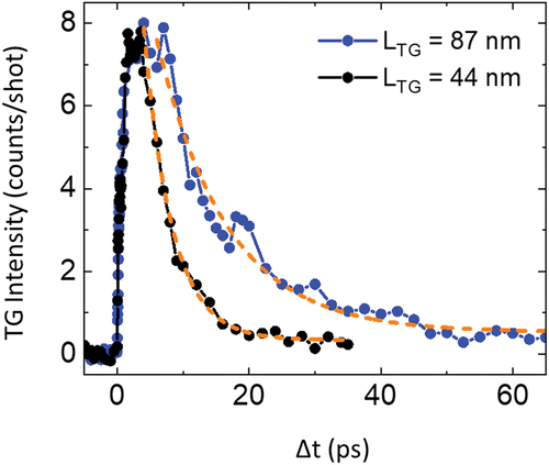 Figure 25. EUV TG signal from a Co81Gd19 sample, collected in forward diffraction by using LTG = 87 nm (blue dots connected by lines) and 44 nm (black dots connected by lines), orange dotted lines are exponential decay functions. Figure adapted from [Citation217].