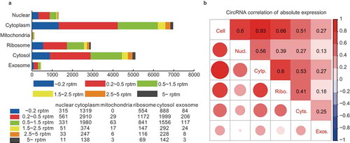 Figure 2. Comparative transcriptome analysis of circRNAs among the subcellular fractions. (a) CircRNA expression profile among the subcellular fractions. The number of circRNAs expressed at various cutoff expression levels is represented by the indicated colors. (b) Correlation matrix of the circRNA expression among the fractions. The size and color intensity of red circles indicate the relative strength of the correlation between the fractions.