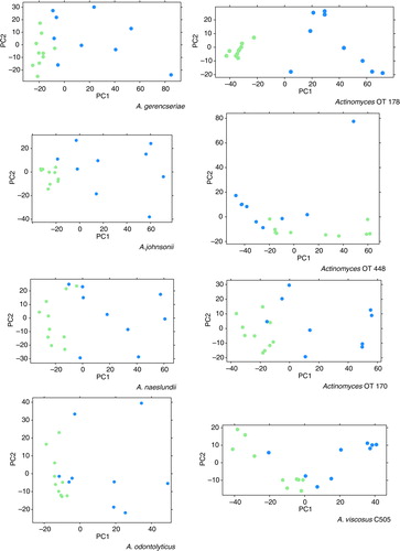Fig. 2.  Principal component analysis (PCA) plots displaying sample-to-sample distances for root caries’ (blue) and sound root surfaces’ (green) biofilms based on the differential expression by Actinomyces spp.