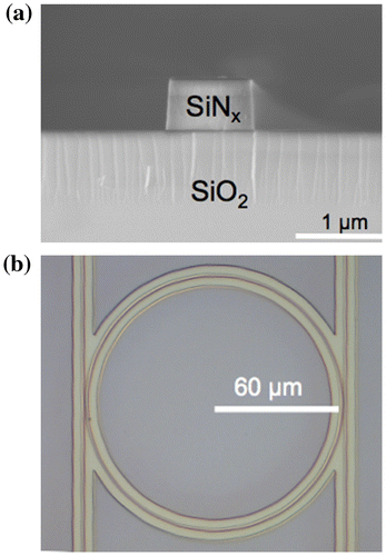 Figure 5. Typical SEM images of fabricated SiNx. (a) A cross sectional SEM image, (b) a plan view image of SiNx ring and coupled waveguides used in the present work.