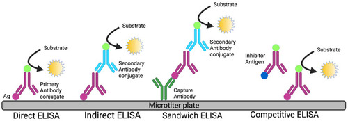 Figure 1 Diagrammatic representation of different types of ELISA.
