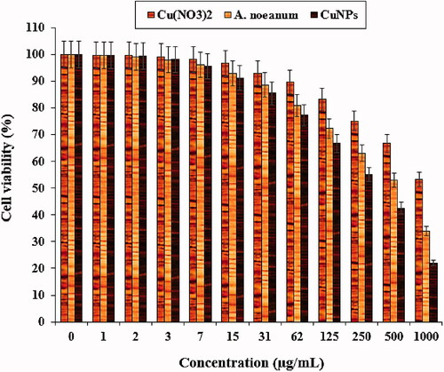 Figure 12. The anti-human endometrial cancer properties of Cu(NO3)2, A. noeanum leaf aqueous extract, and CuNPs against the Ishikawa cell line.