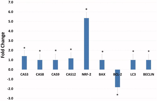 Figure 9. Effects of compound A1 on the expression of apoptotic (caspase-3,8,9,12, and Bax), anti-apoptotic (Bcl-2) and autophagy (LC3, Beclin) related genes. The data are presented as the mean ± SD. (n = 3) *p < .01 compared with the control.