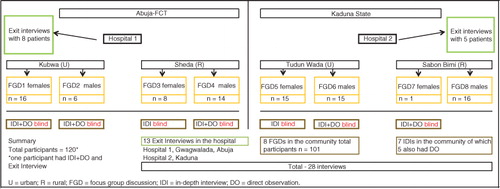 Fig. 2 Sampling strategy and sample size for the patient and community perception study.