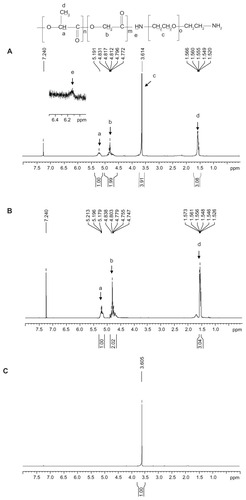 Figure 1 1H-NMR spectra of (A) PLGA-PEG, (B) PLGA, and (C) PEG diamine.Abbreviations: PEG, poly(ethylene glycol); PLGA, poly(D,L-lactide-co-glycolide).