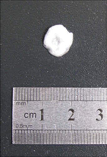 Figure 3. A cotton swab as used in the experiments.