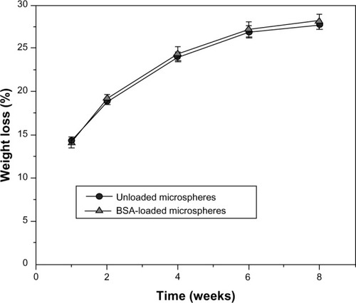 Figure 6 Weight loss of unloaded and BSA-loaded microspheres in PBS over time.Abbreviations: BSA, bovine serum albumin; PBS, phosphate buffered saline.