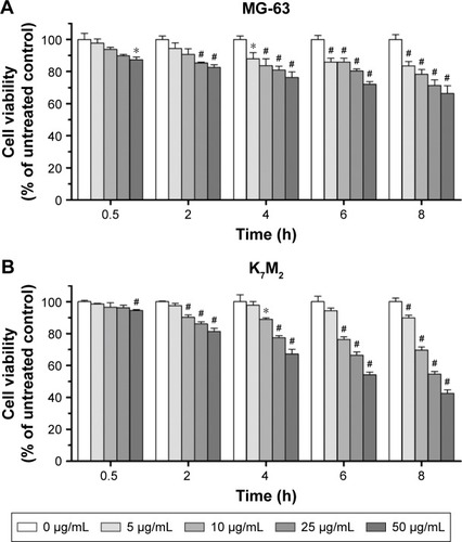 Figure 1 The cytotoxic effect of GO on MG-63 and K7M2 cells. (A) MG-63 and (B) K7M2 cells were exposed to varying concentrations of GO for different treatment periods (without FBS).Notes: The effects on cell viability were determined using an MTT assay with GO (0–50 µg/mL) treatment for 0.5–8 h. Cell viability was calculated as a percentage of untreated cells (100%) and compared with untreated control. Values are presented as mean±SD (*P<0.05, #P<0.01).Abbreviations: FBS, fetal bovine serum; GO, graphene oxide.
